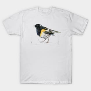 Mr Hihi, New Zealand native bird T-Shirt